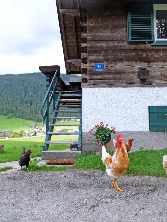 Ferienhaus Asterbach Гозау Екстер'єр фото