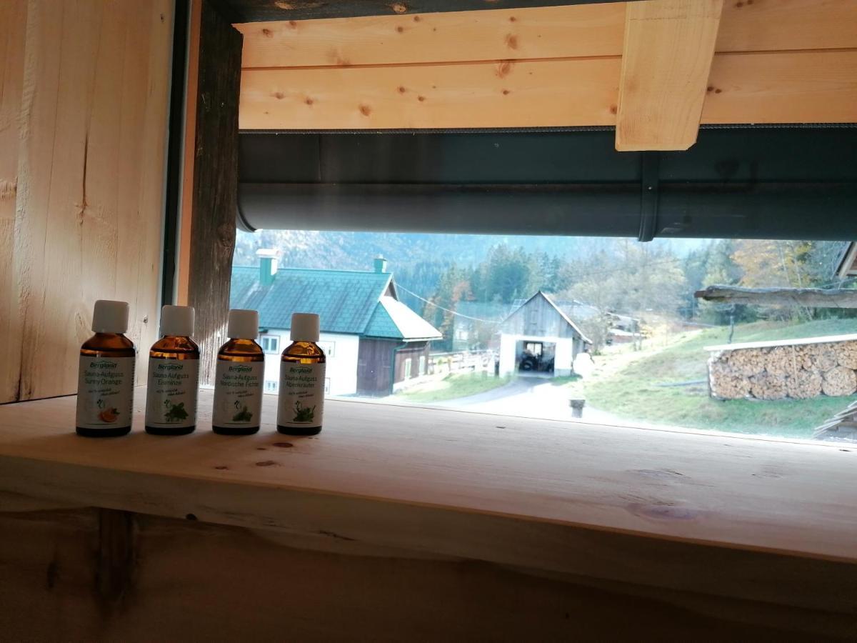Ferienhaus Asterbach Гозау Екстер'єр фото