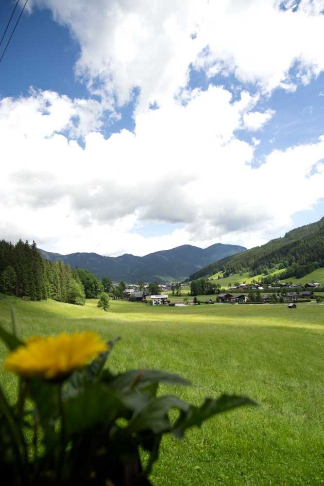 Ferienhaus Asterbach Гозау Екстер'єр фото